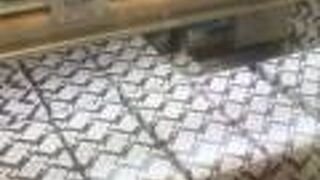 トップス 東武池袋店