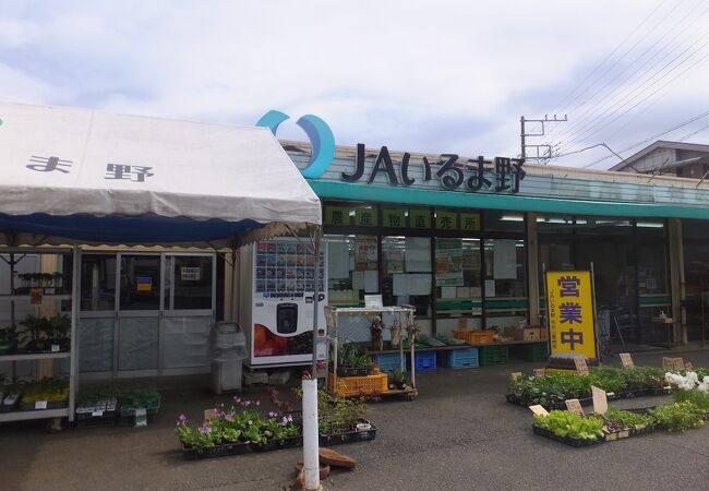 JAいるま 野越生農産物直売所