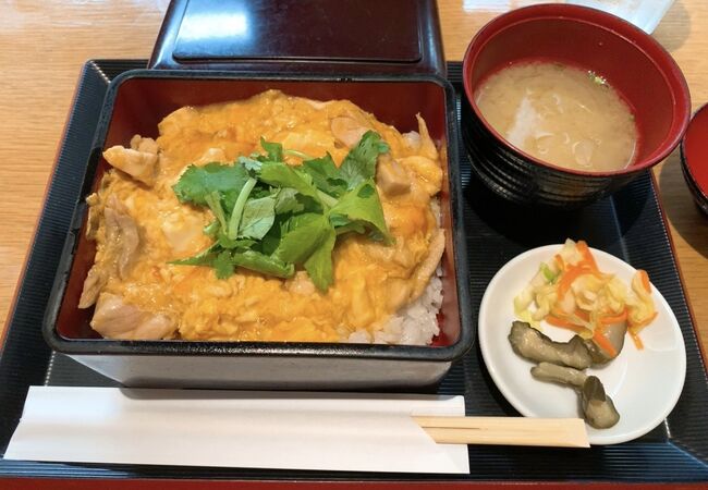 博多地鶏の親子丼を頂きました。