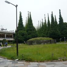 イチョウ並木の南側です。石垣が、長い歴史を物語っています。