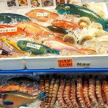 沖縄らしい魚