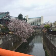 石神井川沿いにある寺