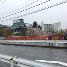 近くに架かる紅葉橋