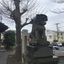 阿形の狛犬と記念樹