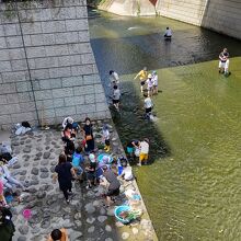 水質も良いそうです