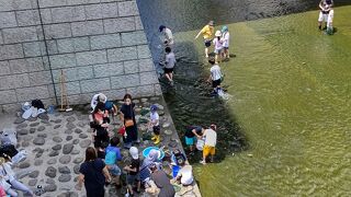 夏は都内なのに川遊びができる神田川