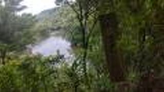 国頭村森林公園