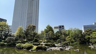 入場無料。癒される日本庭園