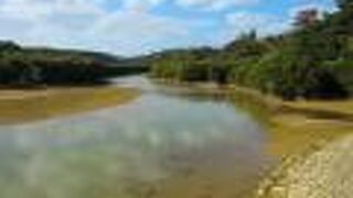 マングローブの広がる公園