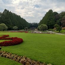 メタセコイア並木の景観が素晴らしい