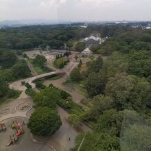 グリーンタワーから眺めた相模原公園