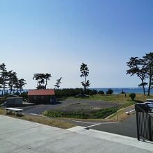 岩井崎園地