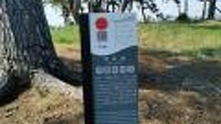 三陸復興国立公園