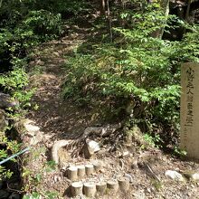 小野毛人のお墓が裏山にあります。
