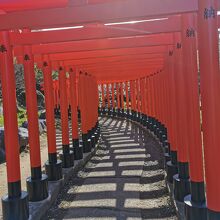 高山稲荷神社　千本鳥居