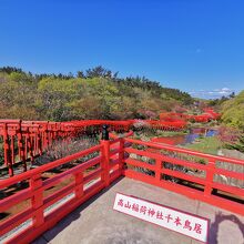 高山稲荷神社　千本鳥居