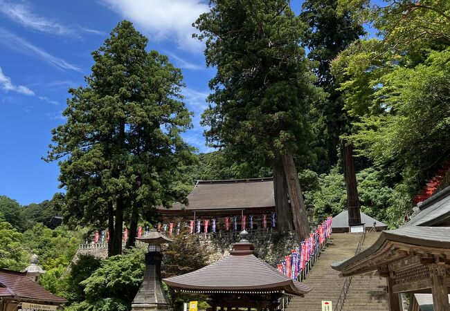 清水寺 クチコミ・アクセス・営業時間｜安来・鷺の湯温泉