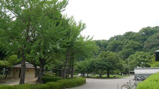 徳島駅の北側にある公園