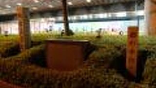 マイドーム大阪の前です