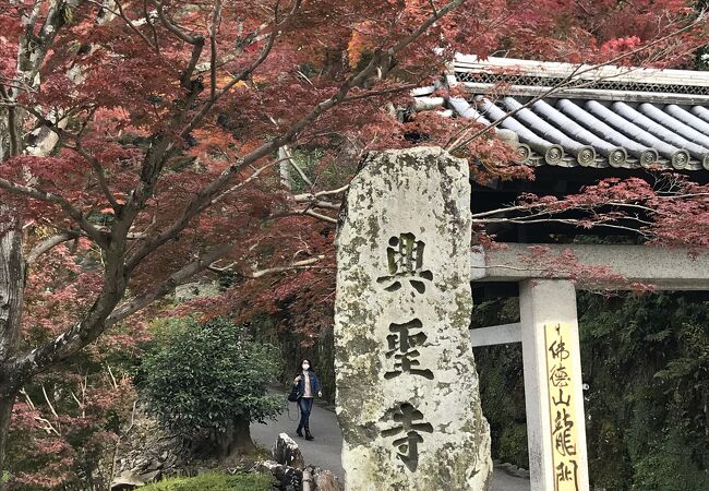 紅葉の頃の参道の琴坂は格別！