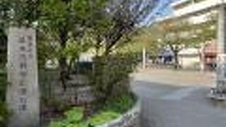 ソメイヨシノのソメイはこの近辺の地名「染井」でした。