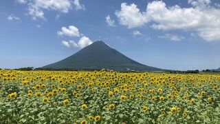 龍宮神宮から西大山駅のどこか