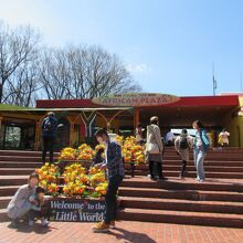 南アフリカを展示