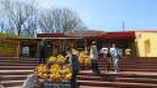 アフリカをまとめて展示