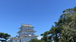 念願の小田原城に行きました