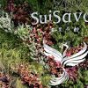 SuiSavon 首里石鹸 (当蔵ギャラリーショップ 本店)