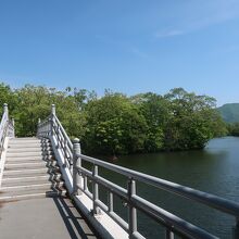 大沼公園の散策路