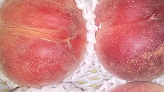 甲府の道の駅でとても人気のある施設