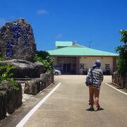 海に入らなくても熱帯魚を見ることができます！