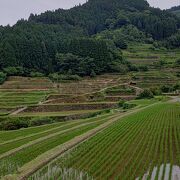 野山の美しさ