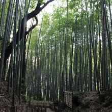 今にも和服姿の人々が出て来そう…！！