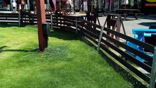 多くの方がお見えになられて