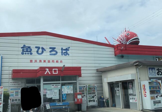 豊浜魚ひろば クチコミ アクセス 営業時間 内海 南知多 フォートラベル