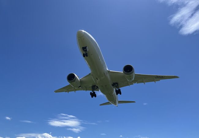 飛行機の着陸が大迫力で楽しめます