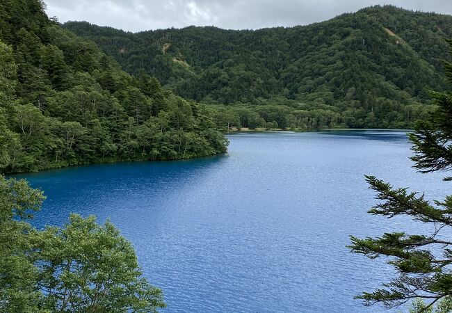 青い池