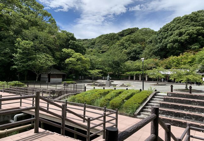 緑豊かで静かな自然公園