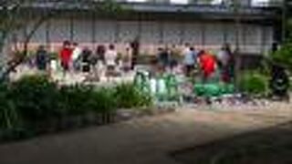 子供が水遊びできる池あり