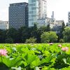 京成上野駅の池の端口からすぐそこ。日本帰国時に泊まってみました