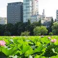 京成上野駅の池の端口からすぐそこ。日本帰国時に泊まってみました