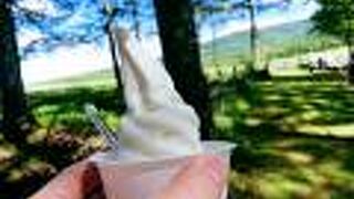 すっきりだけど牛乳を感じるソフトクリーム 