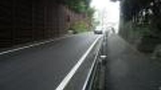 木々に覆われているけど、梨の木はありません