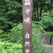 清流が見たかった・・