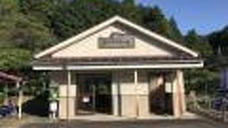 湯の洞温泉口駅