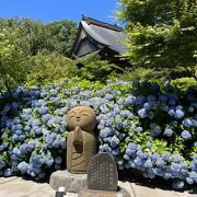 絶景の紫陽花スポット