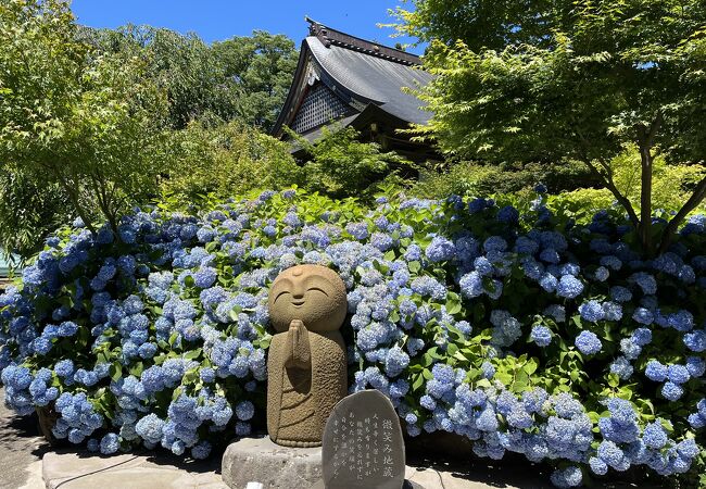 絶景の紫陽花スポット