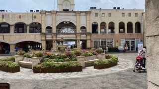 マナーパンツ着用でペット可です。